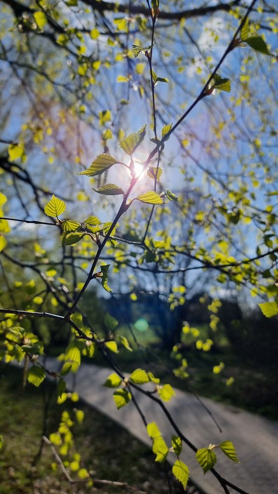 Photograph by Елена Матвеичева