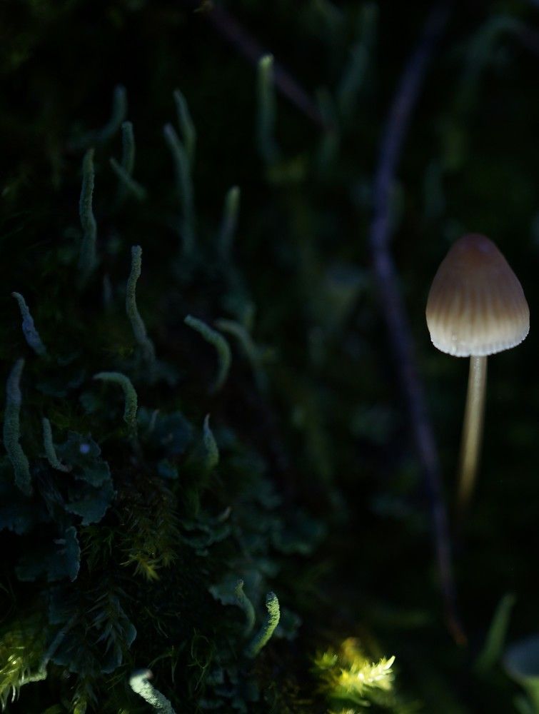 Photograph by Наталья Горбунова