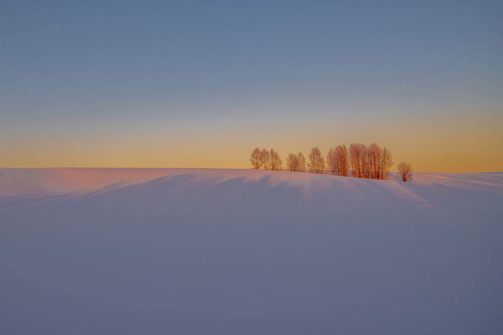 Photograph by Николай Грекалов