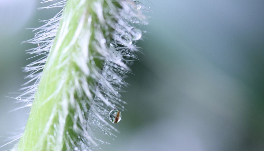 Photograph by Alexandra Karmirian