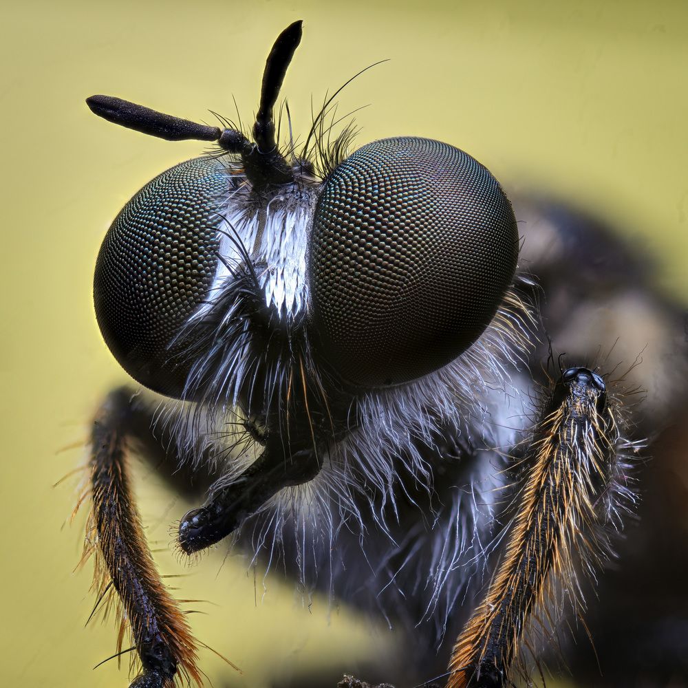 Photograph by Юрий Юрьевич