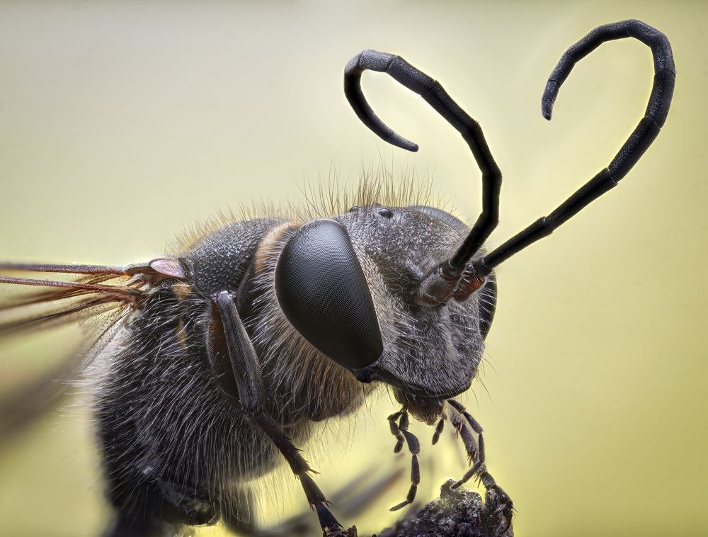 Photograph by Юрий Юрьевич