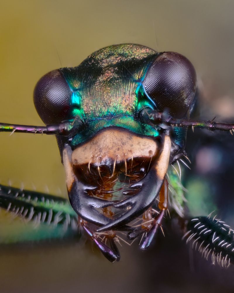 Photograph by Юрий Юрьевич