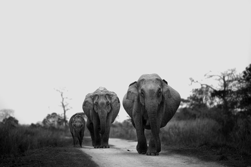 stages of motherhood