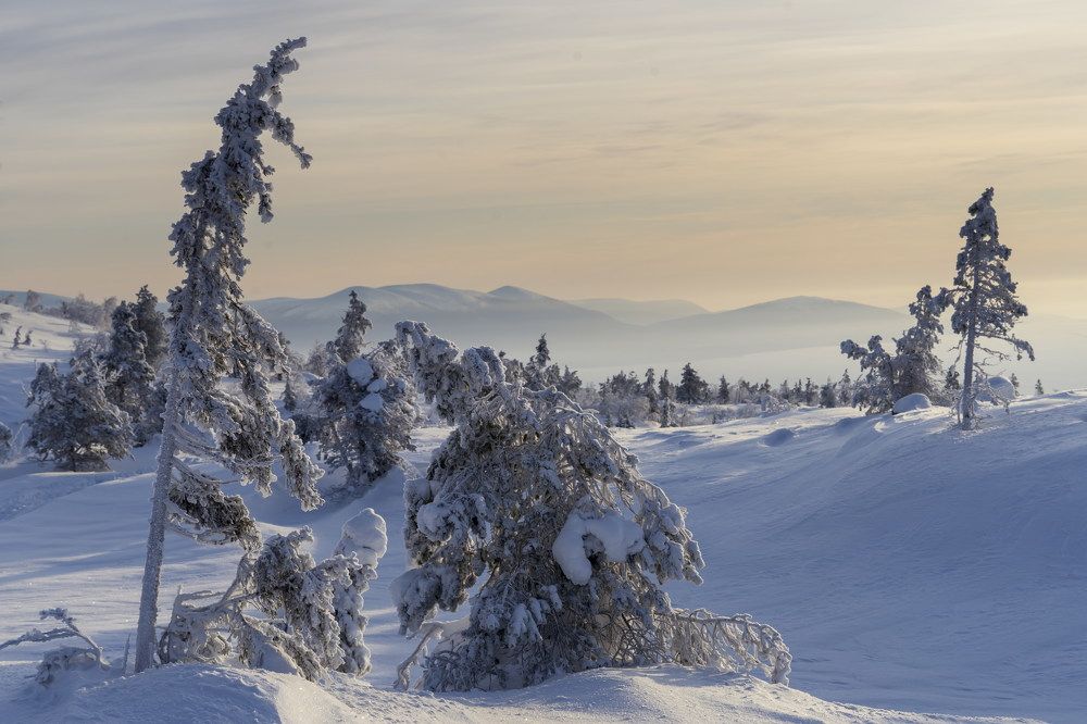 Photograph by  Gilgalen