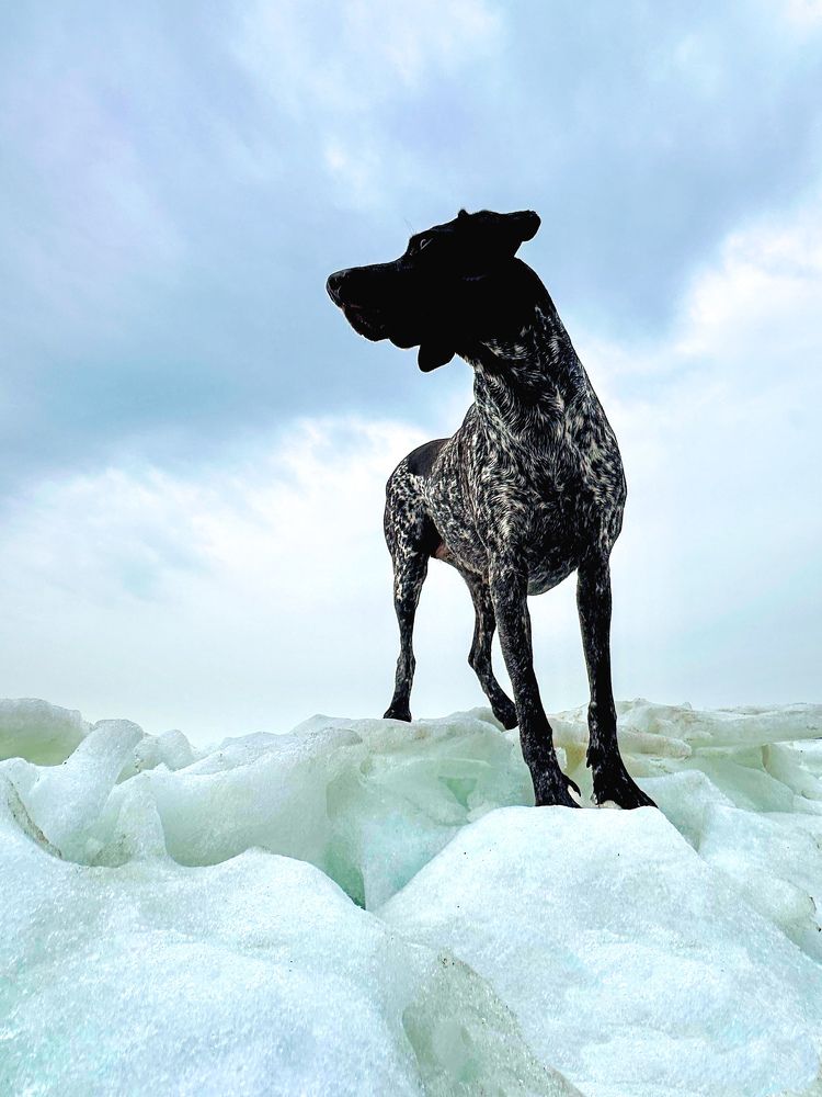 Photograph by Анастасия Волошина