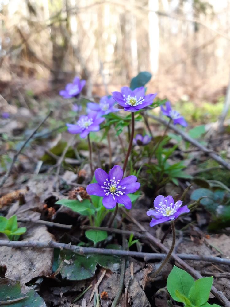 Photograph by Татьяна Смирнова