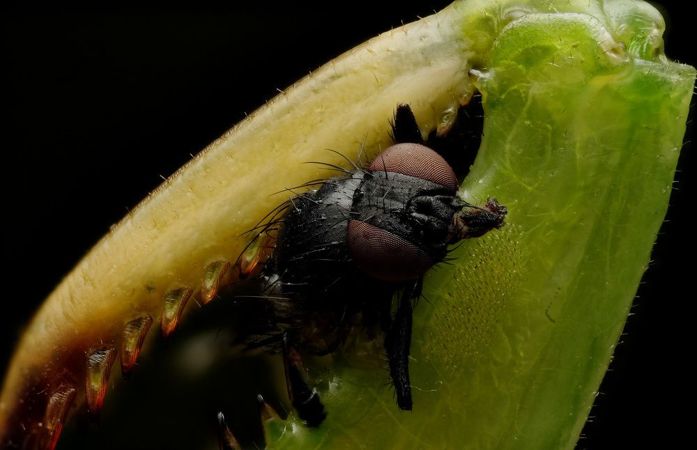Photograph by Анастасия Подгрушная