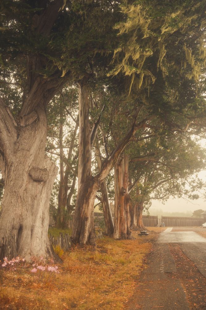 Photograph by Наталья Чижова