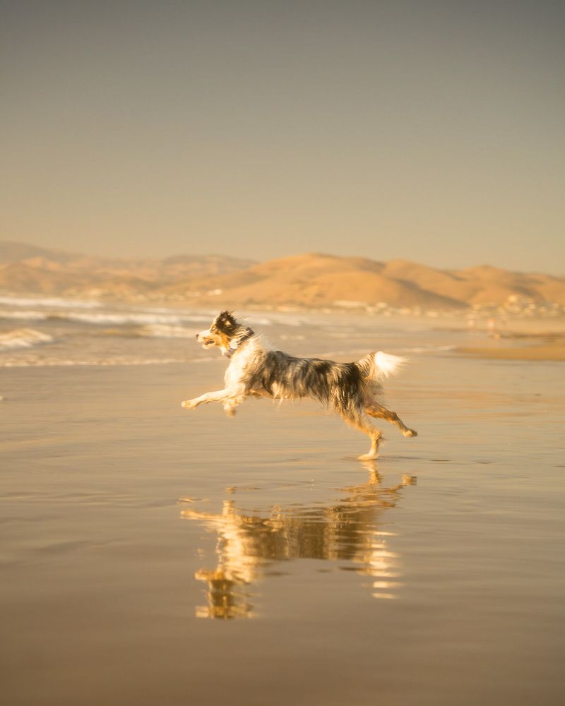 Photograph by Наталья Чижова