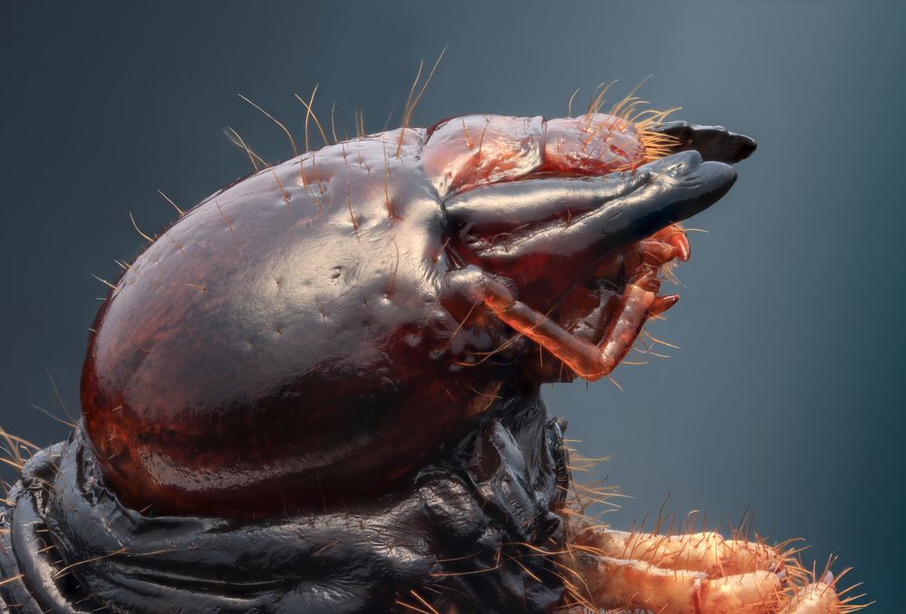 Photograph by Антон Сидоров