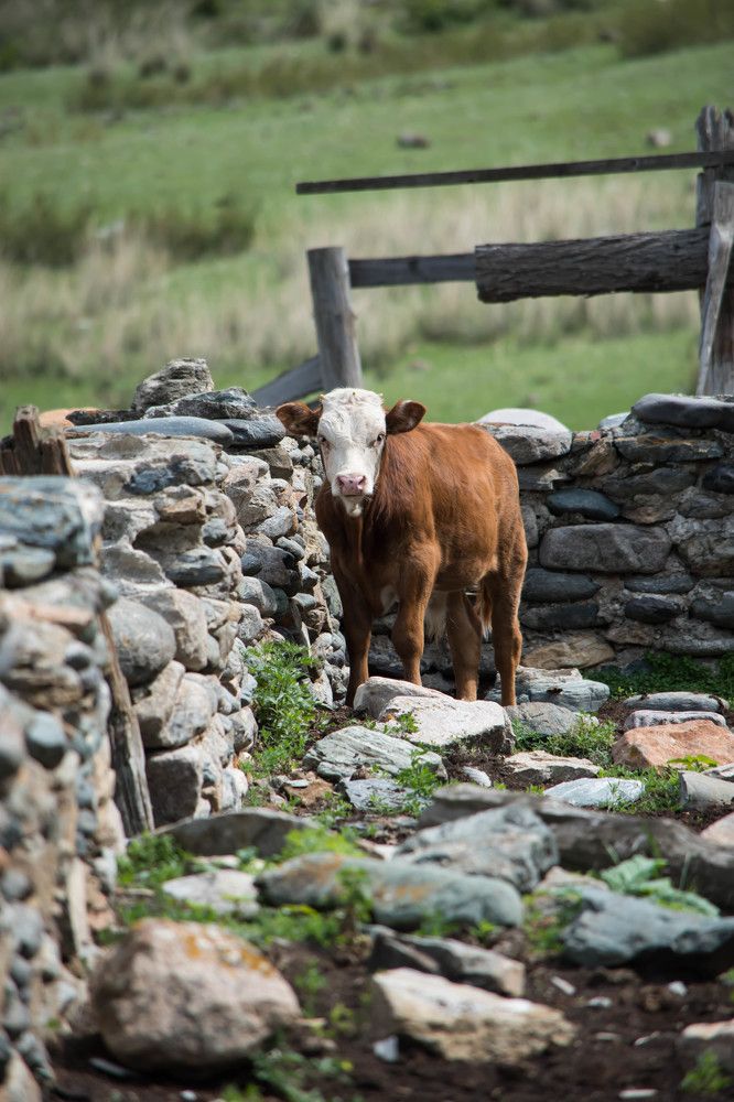 Photograph by Наталья Сорокина