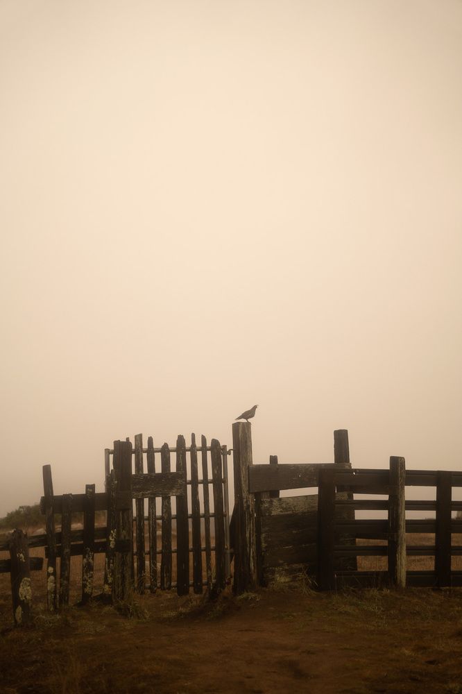 Photograph by Наталья Чижова