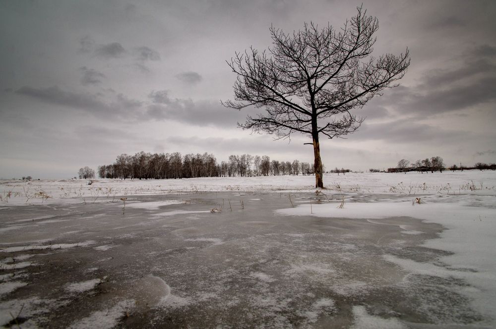 Photograph by Дубровин Николай