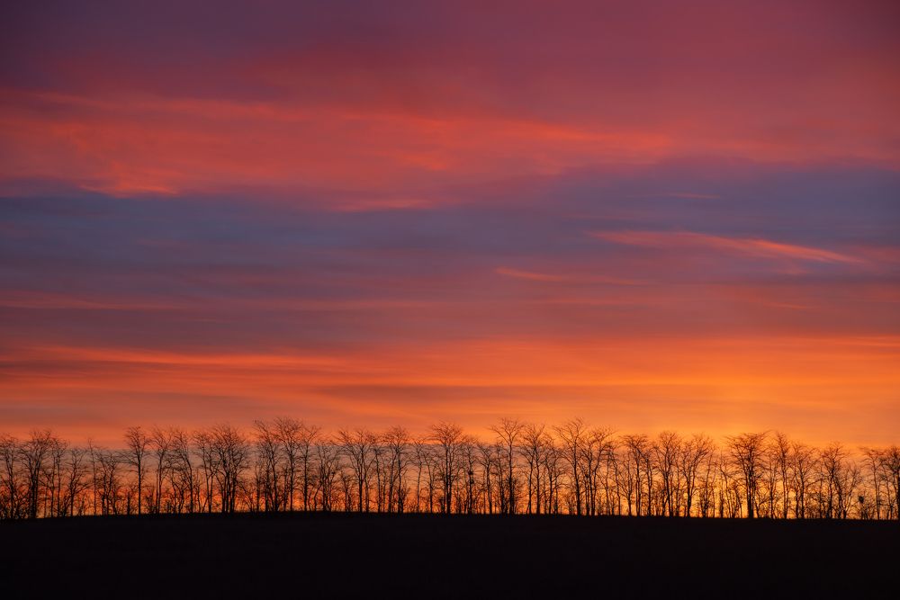 Photograph by Василий Малыш