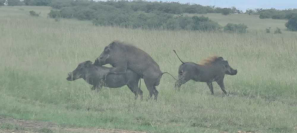 Photograph by Geoffrey Kariuki