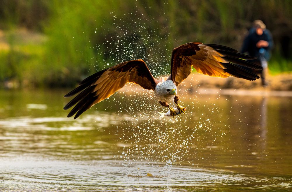 Photograph by Sharad Mansharamani