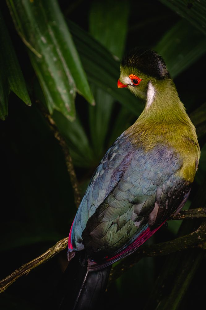 Photograph by Наталья Кокорина