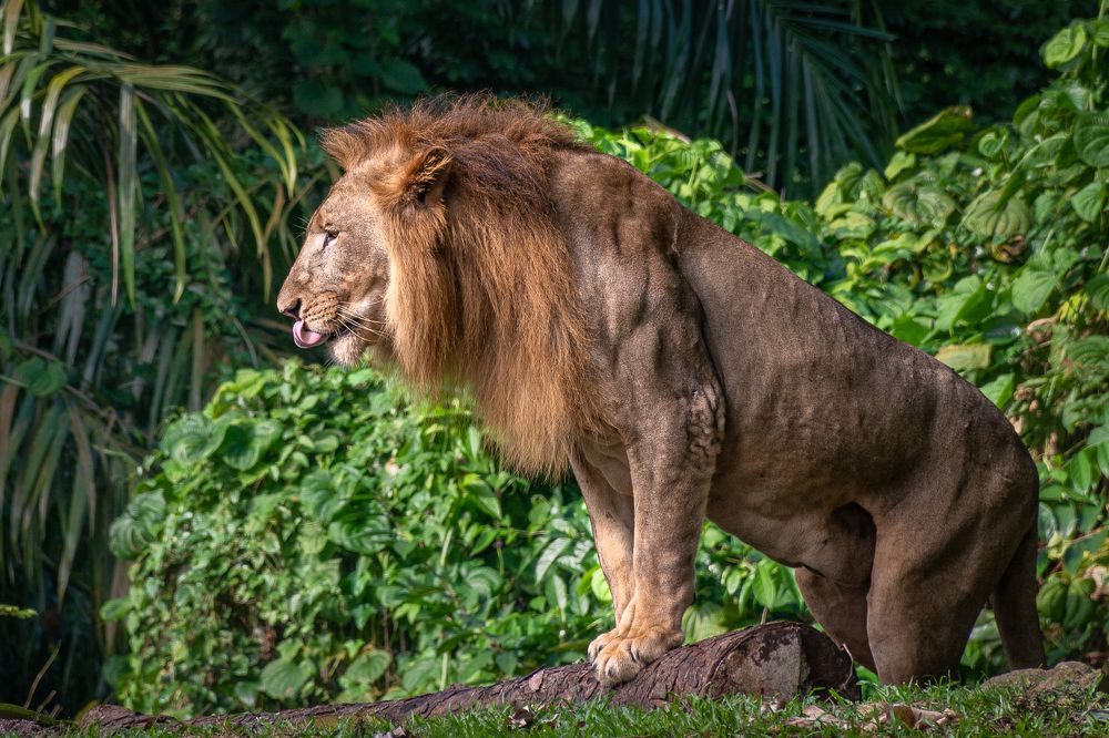 Photograph by Наталья Кокорина