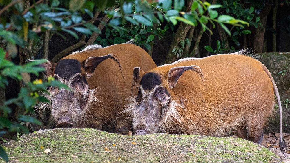 Photograph by Наталья Кокорина