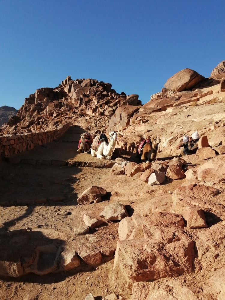 Photograph by Римма Бобрякова