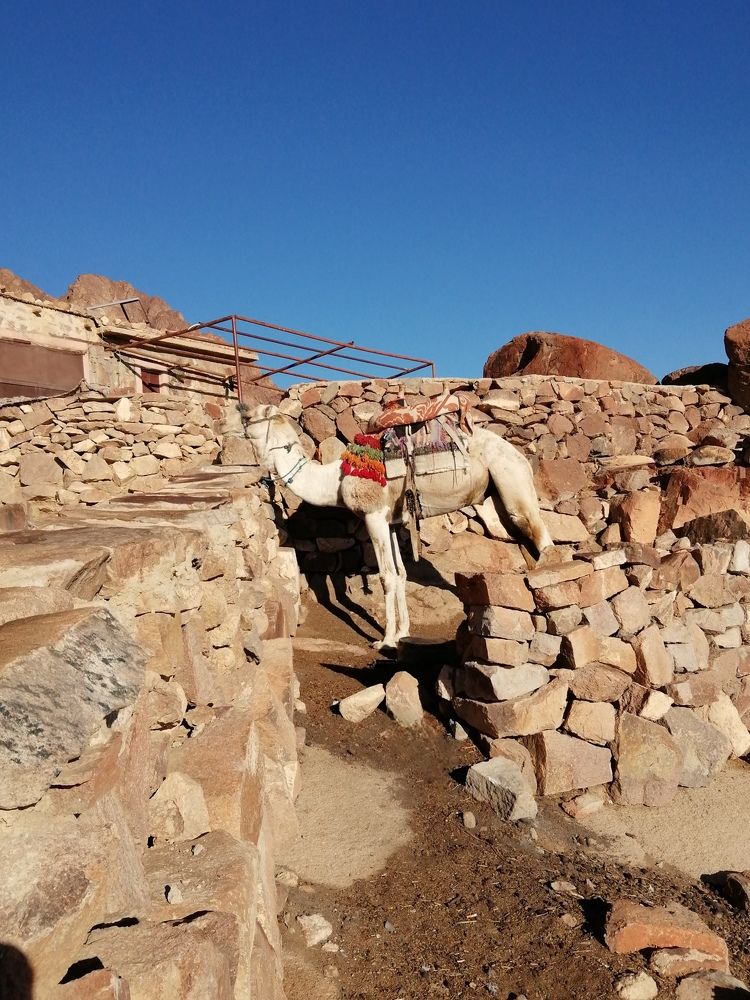 Photograph by Римма Бобрякова