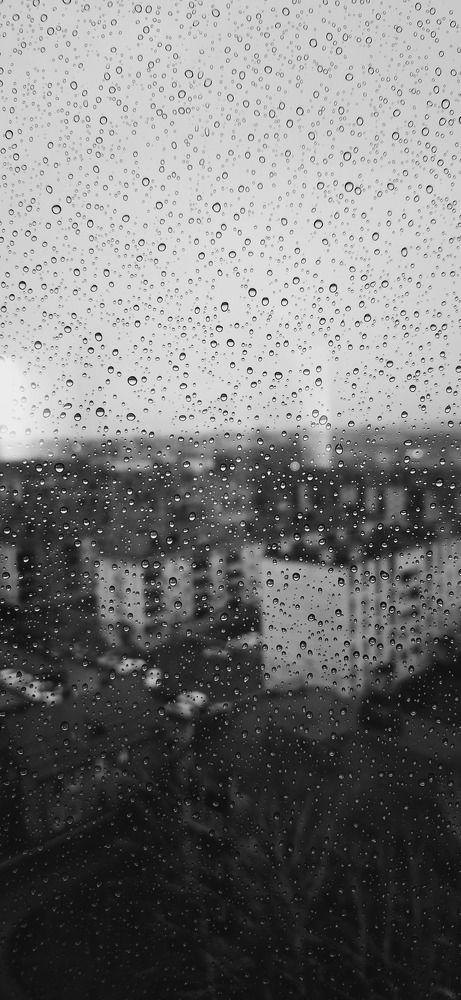 Photograph by Анастасия Тазиева