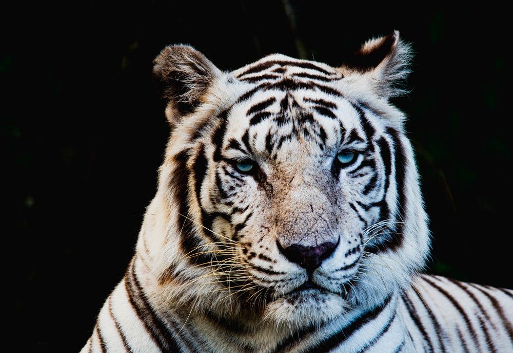 Photograph by Максим