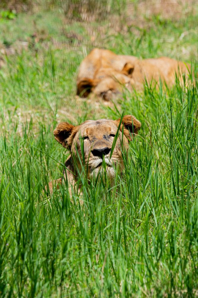 Photograph by Максим