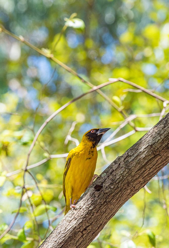 Photograph by Максим