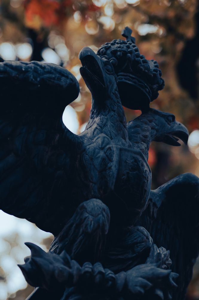 Фотография автора Виталий Волошин