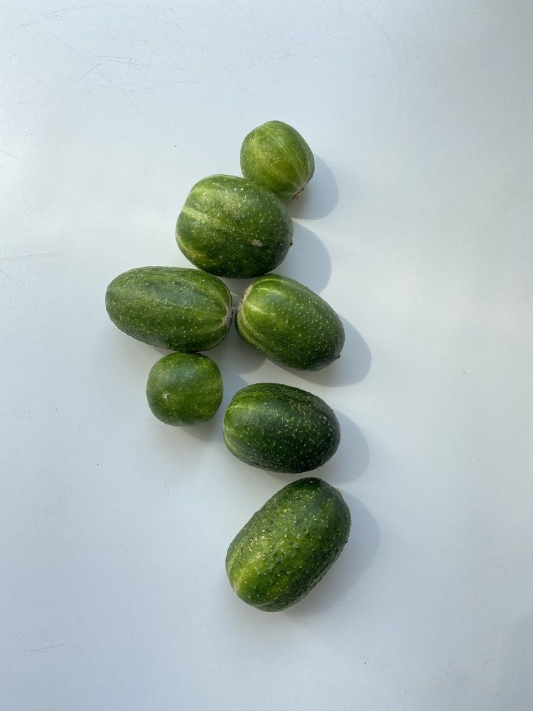Photograph by Елизавета Корнилова