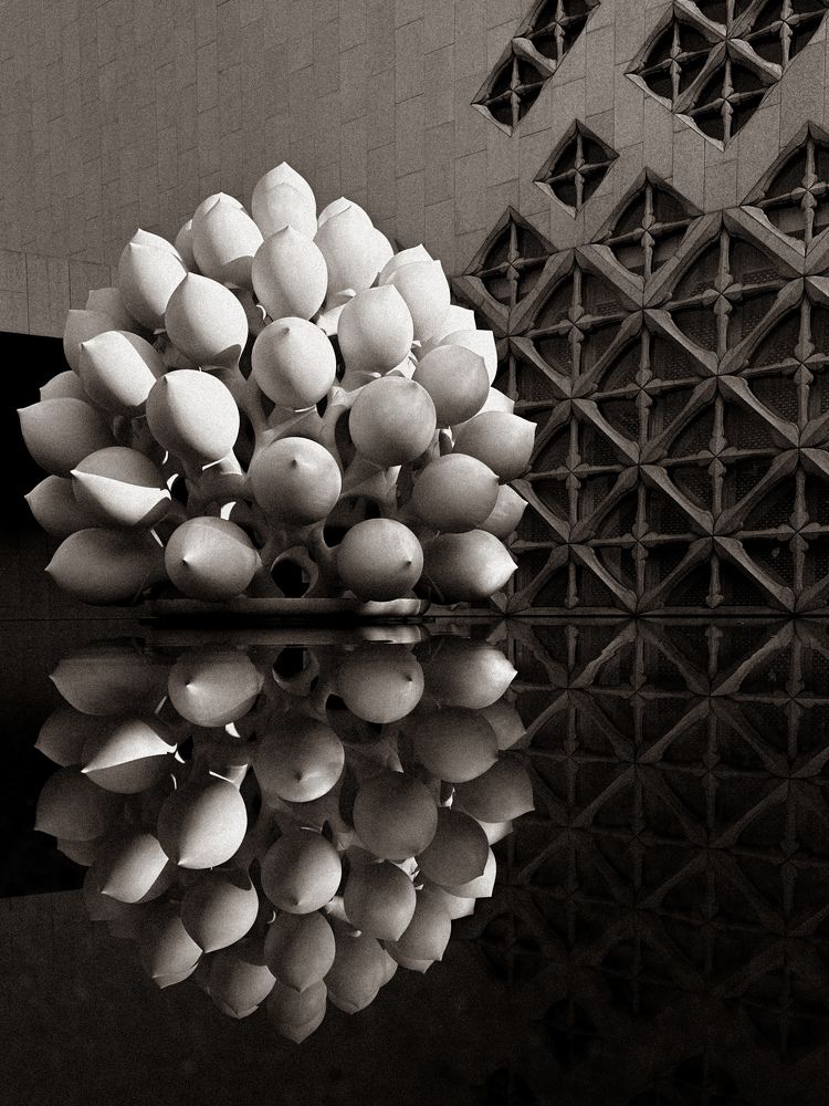 Фотография автора Liza