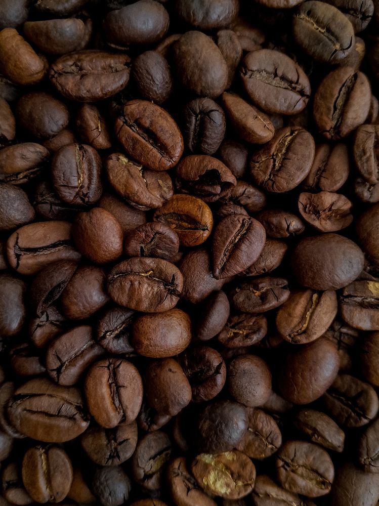 Photograph by Анастасия Дынина