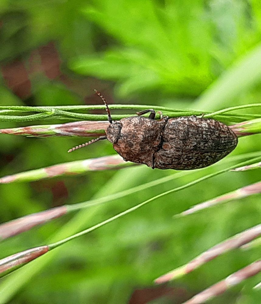 Photograph by Екатерина