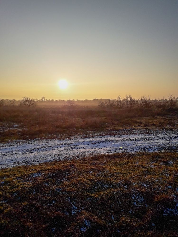 Photo #10454664