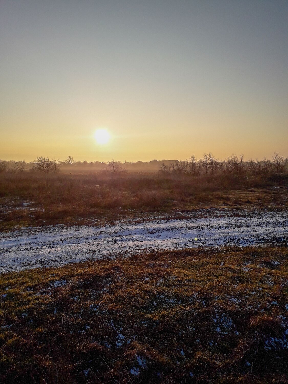 Photo #10454664