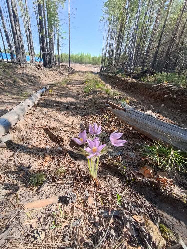 Photograph by Татьяна Смирнова