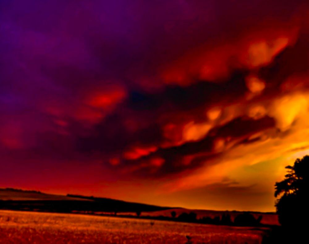 Photograph by Nikolett Mengyi