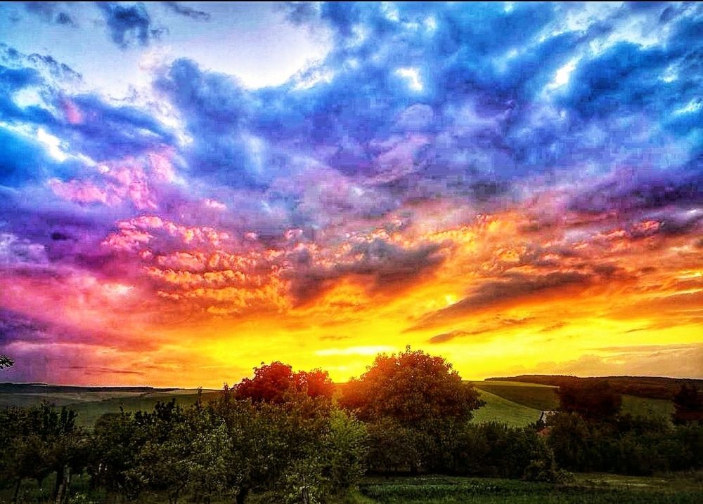 Photograph by Nikolett Mengyi