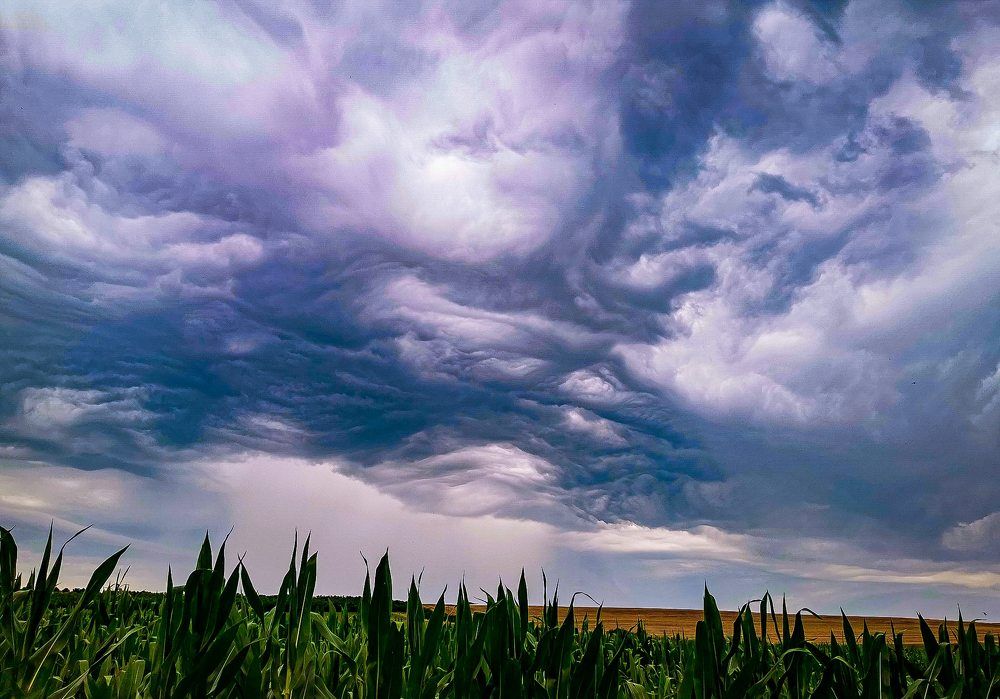 Photograph by Nikolett Mengyi