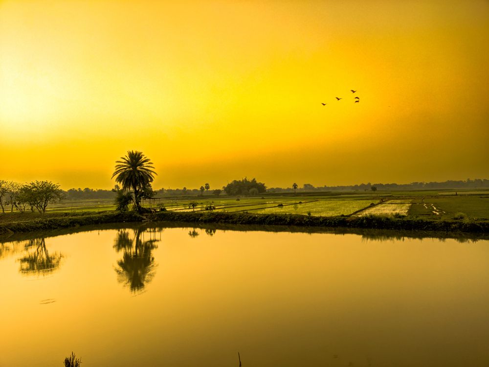 Photograph by Rohit Santra