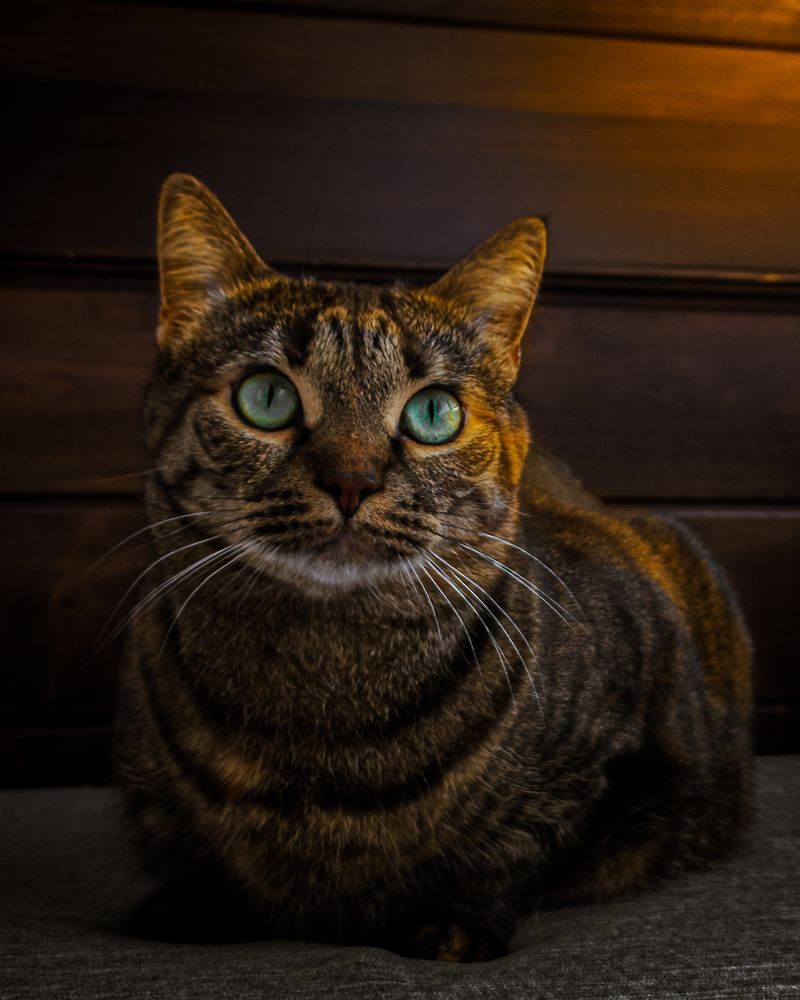 Photograph by Денис Литош