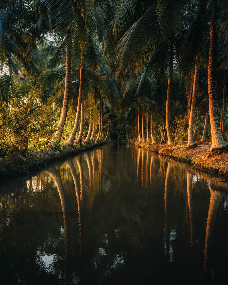 Photograph by Huy Nguyen