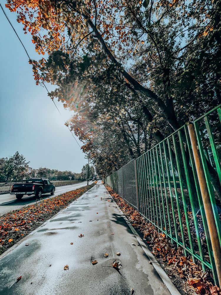 Photograph by Olga Molchanova