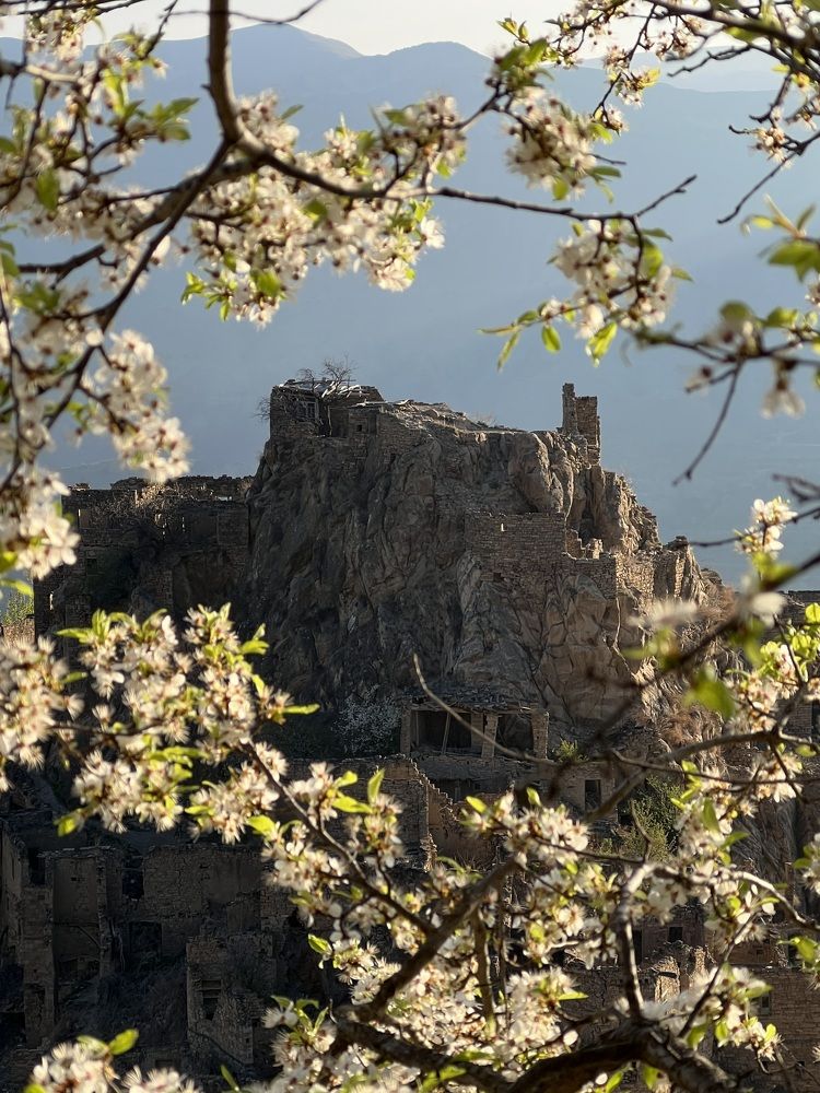 Photograph by Светлана Головачева