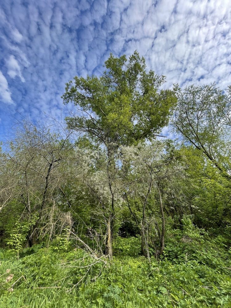 Photograph by Алексей Поляков