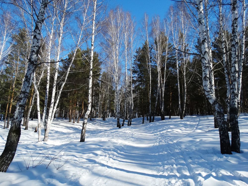 Photograph by Александр Подгорный