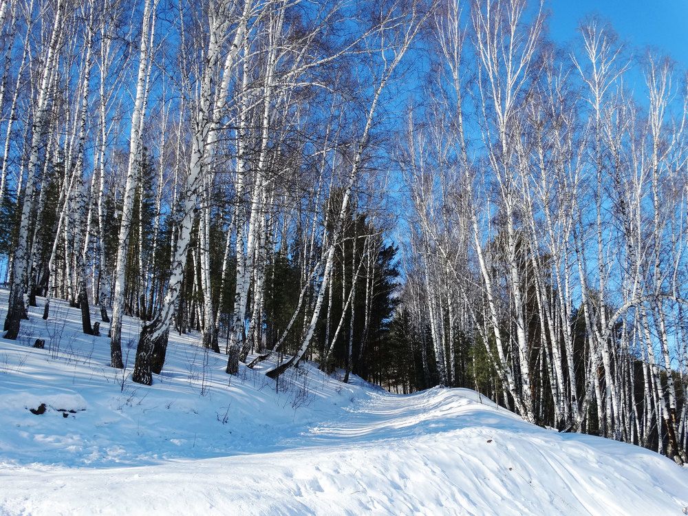 Photograph by Александр Подгорный