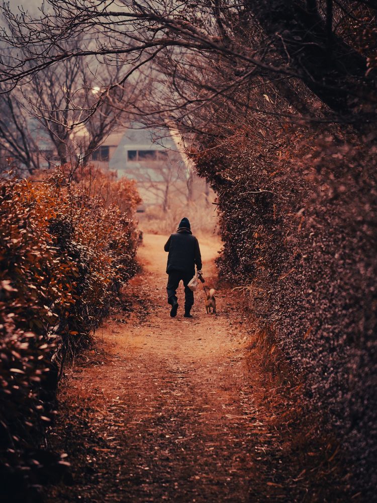 I'm not alone even you're gone